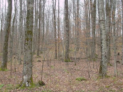 Land in Franklin County, Vermont