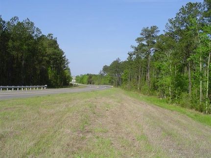 Farm and Ranch in Chatham County, Georgia