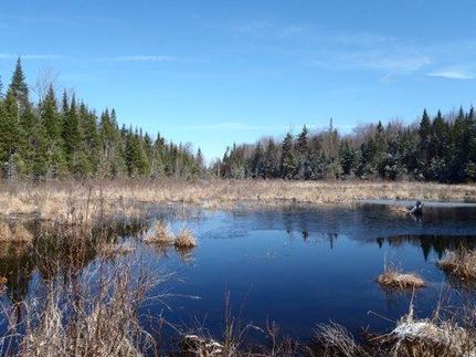 Waterfront Property in Franklin County, New York