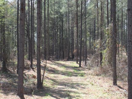 Farm and Ranch in Chilton County, Alabama