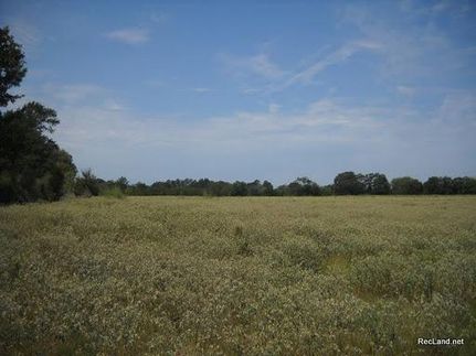 Land in Richland Parish, Louisiana