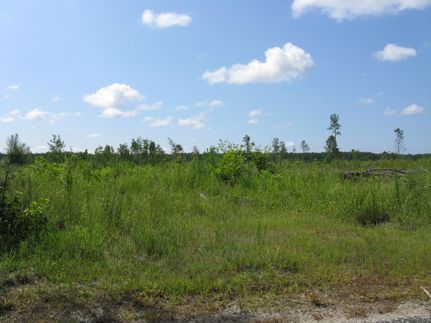 Land in King and Queen County, Virginia