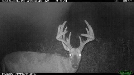Timberland Property in Van Buren County, Iowa