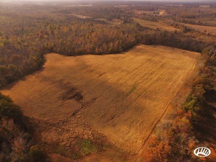 Farm and Ranch in Graves County, Kentucky