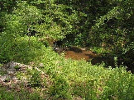 Farm and Ranch in Lewis County, Tennessee