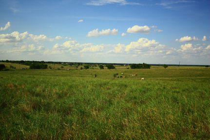 Farm and Ranch in Falls County, Texas