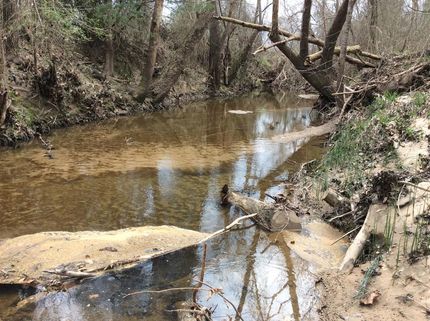 Farm and Ranch in Austin County, Texas