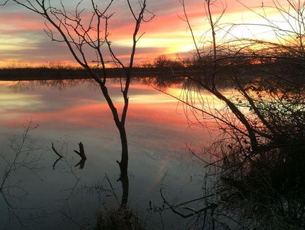 Land in Young County, Texas