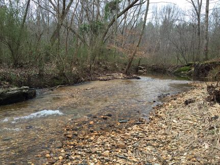 Farm and Ranch in Talladega County, Alabama