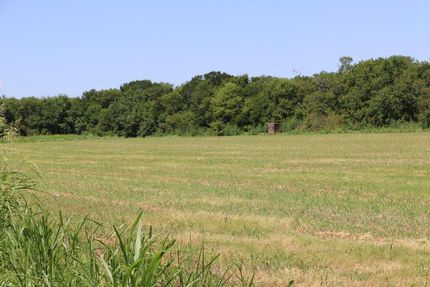 Undeveloped Land in Hill County, Texas