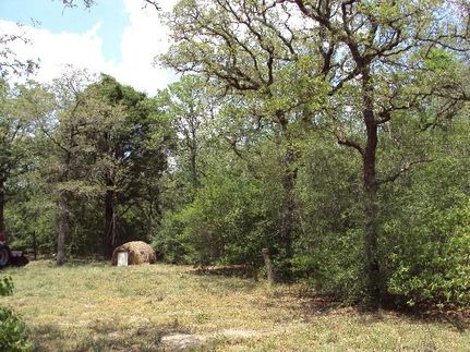 Farm and Ranch in Lee County, Texas