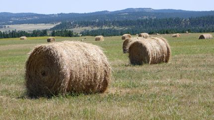 Land in Musselshell County, Montana