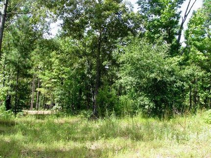 Commercial Property in Henderson County, Texas