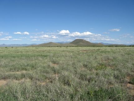 Farm and Ranch in Cochise County, Arizona