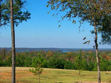 Timberland Property in Wilcox County, Alabama