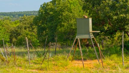 Land in Young County, Texas