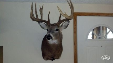 Farm and Ranch in Adams County, Wisconsin