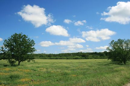 Land in Medina County, Texas