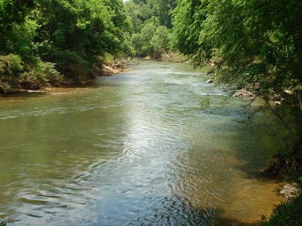 Farm and Ranch in Blount County, Alabama