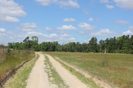 Land in Berkeley County, South Carolina