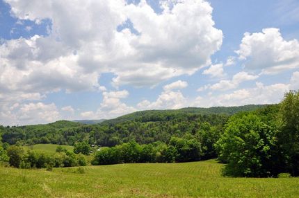 Timberland Property in Pocahontas County, West Virginia