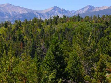 Land in Deer Lodge County, Montana