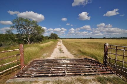 Farm and Ranch in Jim Wells County, Texas