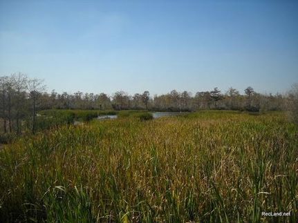 Farm and Ranch in Terrebonne Parish, Louisiana