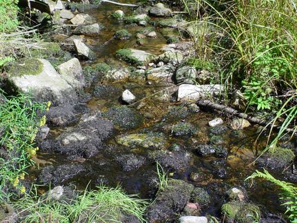 Farm and Ranch in Fulton County, New York