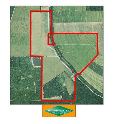 Land in Madison Parish, Louisiana