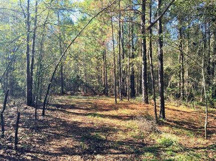 Waterfront Property in Toombs County, Georgia