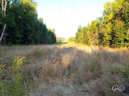 Farm and Ranch in Livingston County, Kentucky