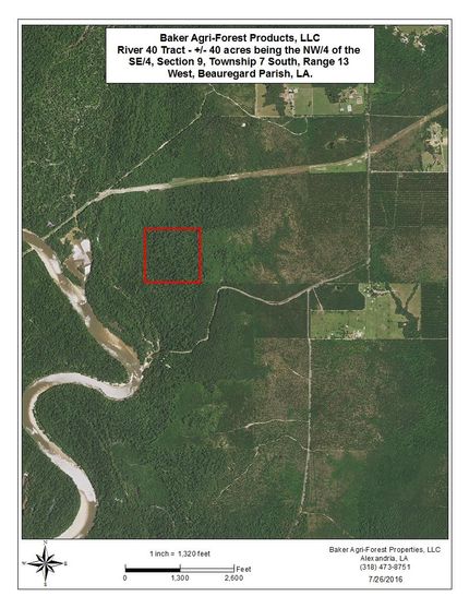 Recreational Property in Beauregard Parish, Louisiana