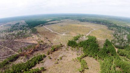 Land in San Jacinto County, Texas