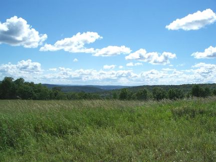 Undeveloped Land in Chenango County, New York