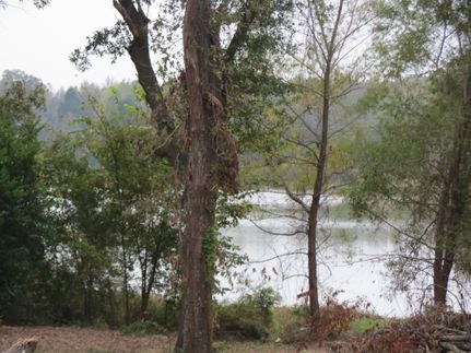 Farm and Ranch in Smith County, Texas