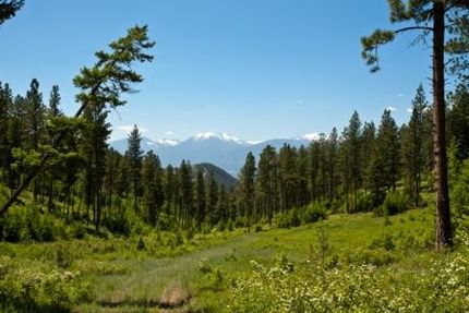 Farm and Ranch in Ravalli County, Montana