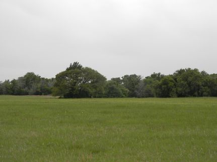 Undeveloped Land in Austin County, Texas