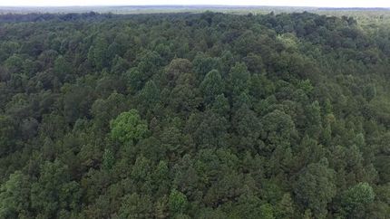 Farm and Ranch in Wilcox County, Alabama