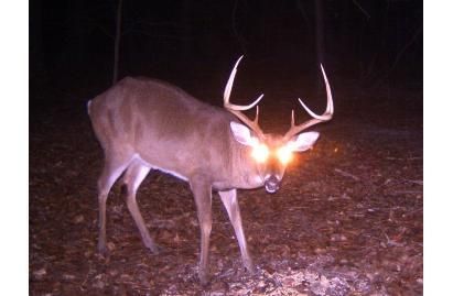 Land in Burke County, Georgia