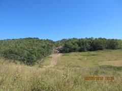 Undeveloped Land in Lewis County, Kentucky