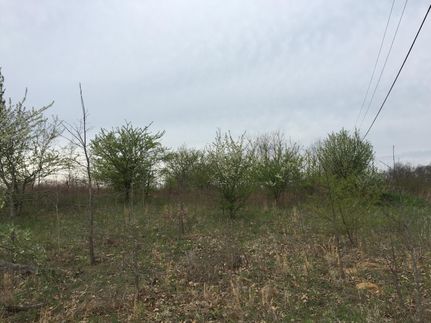 Homesite in Muskingum County, Ohio