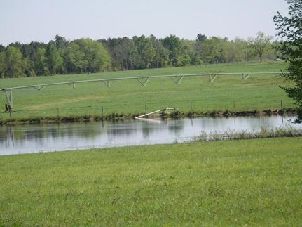 Hunting Property in Burke County, Georgia