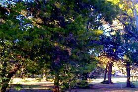 Farm and Ranch in Colorado County, Texas
