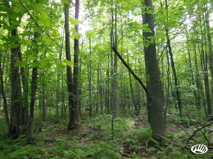 Land in Marathon County, Wisconsin