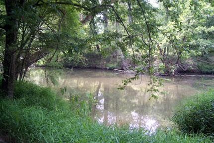 Riverfront Property in Pike County, Mississippi