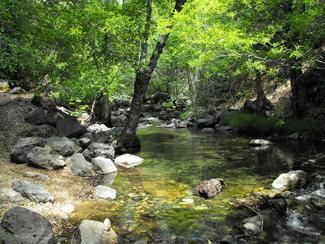 Farm and Ranch in Trinity County, California