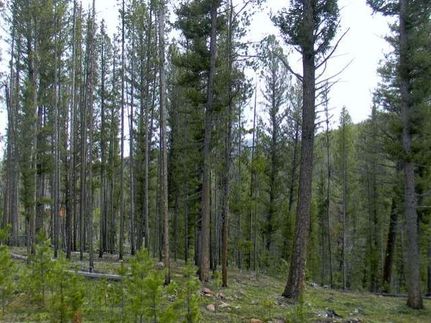 Land in Granite County, Montana