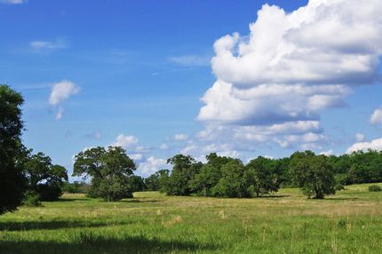 Undeveloped Land in Grimes County, Texas