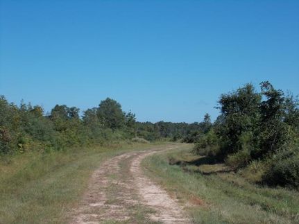 Recreational Property in Polk County, Texas
